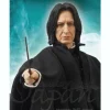 1/6 RAH Severus Snape