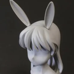Animal Accessory 2 (White) (Reissue)