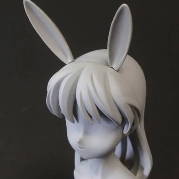 Animal Accessory 2 (White) (Reissue)