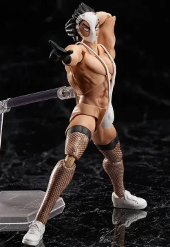 figma Hentai Kamen (The Abnormal Super Hero Hentai Kamen)