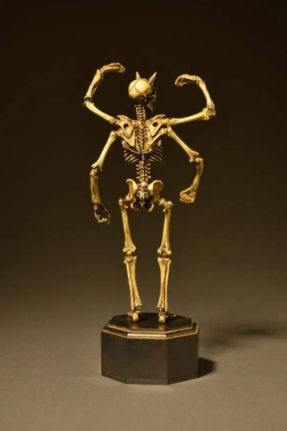 KT Project Takeya Style Jizai Okimono: Skeleton Color Ver.