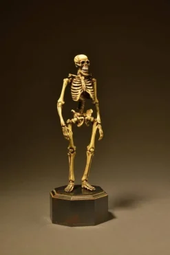KT Project Takeya Style Jizai Okimono: Skeleton Color Ver.