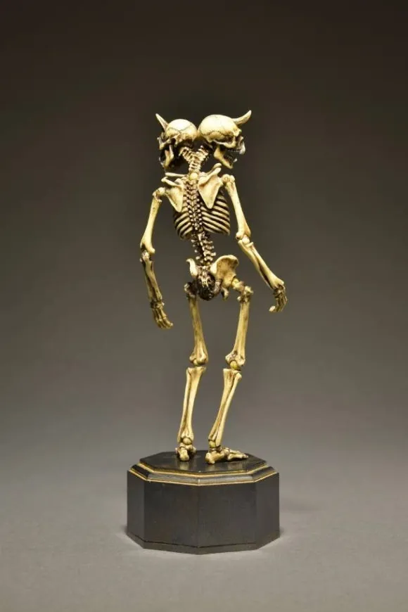 KT Project Takeya Style Jizai Okimono: Skeleton Color Ver.