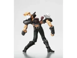 Legacy of Revoltech Bakuretsu! Zeed-dan