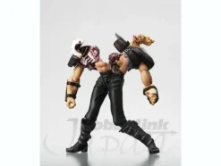 Legacy of Revoltech Bakuretsu! Zeed-dan