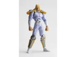 Legacy of Revoltech Shin