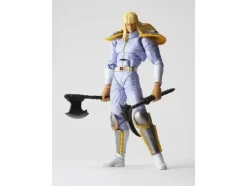 Legacy of Revoltech Shin