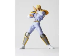 Legacy of Revoltech Shin