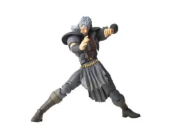 Legacy of Revoltech Shu
