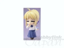 Nendoroid Complete File w/Saber Complete File Ver.
