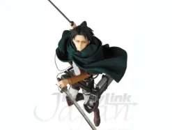 RAH Levi