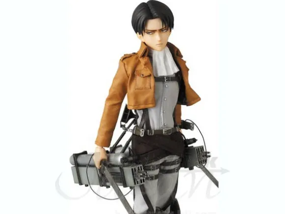 RAH Levi