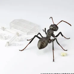 REVO GEO Camponotus japonicus (Black Carpenter Ant) (set of 2)