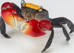 Revo Geo Chiromantes Haematocheir (Red-Clawed Crab)