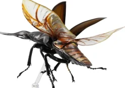 Revogeo Prosopocoilus Giraffa / Giraffe Stag Beetle