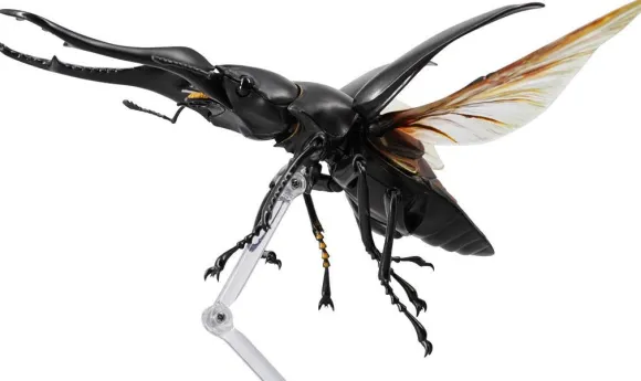 Revogeo Prosopocoilus Giraffa / Giraffe Stag Beetle