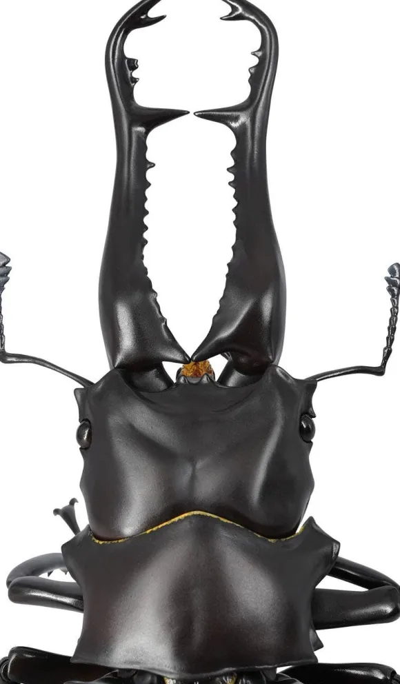 Revogeo Prosopocoilus Giraffa / Giraffe Stag Beetle