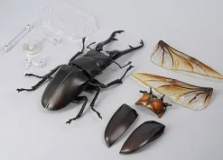 Revogeo Prosopocoilus Giraffa / Giraffe Stag Beetle