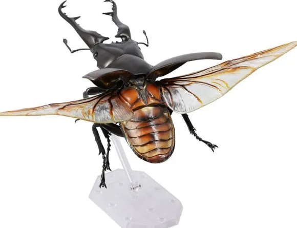 Revogeo Prosopocoilus Giraffa / Giraffe Stag Beetle