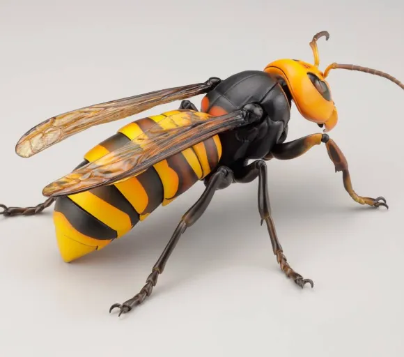 Revogeo Vespa Mandarinia (Asian Giant Hornet / "Murder Hornet")