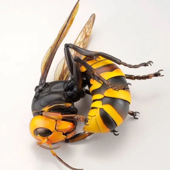 Revogeo Vespa Mandarinia (Asian Giant Hornet / "Murder Hornet")