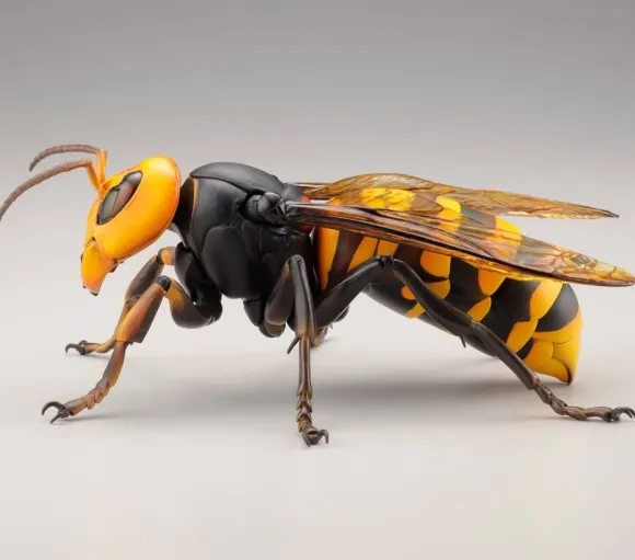 Revogeo Vespa Mandarinia (Asian Giant Hornet / "Murder Hornet")