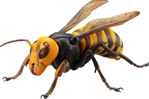 Revogeo Vespa Mandarinia (Asian Giant Hornet / "Murder Hornet")