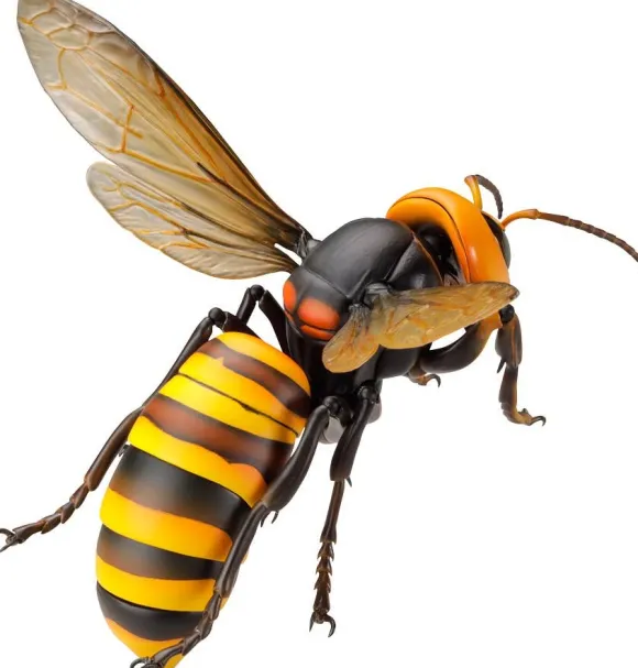 Revogeo Vespa Mandarinia (Asian Giant Hornet / "Murder Hornet") (Reissue)