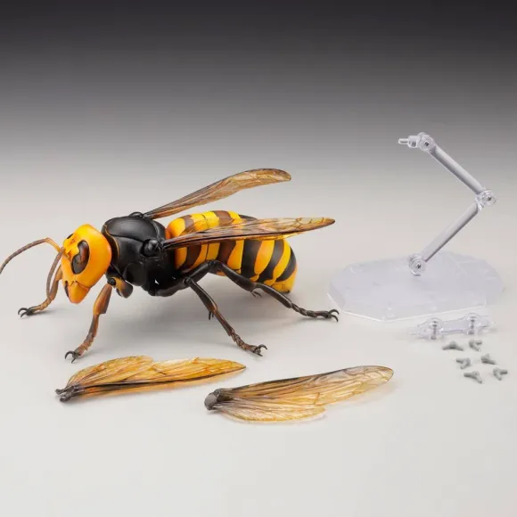 Revogeo Vespa Mandarinia (Asian Giant Hornet / "Murder Hornet") (Reissue)