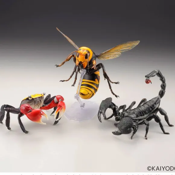 Revogeo Vespa Mandarinia (Asian Giant Hornet / "Murder Hornet") (Reissue)