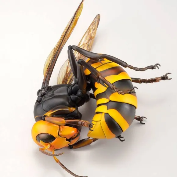 Revogeo Vespa Mandarinia (Asian Giant Hornet / "Murder Hornet") (Reissue)