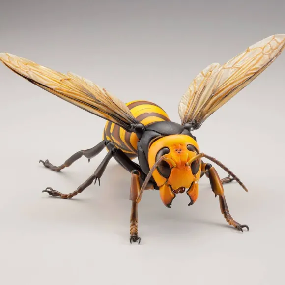 Revogeo Vespa Mandarinia (Asian Giant Hornet / "Murder Hornet") (Reissue)