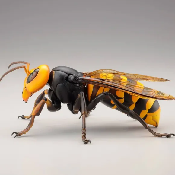 Revogeo Vespa Mandarinia (Asian Giant Hornet / "Murder Hornet") (Reissue)