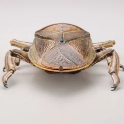 Revogeo Water Bug Tagame