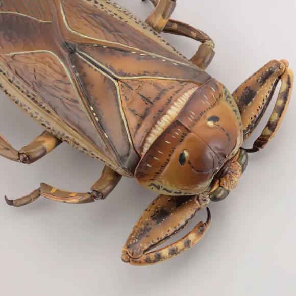 Revogeo Water Bug Tagame