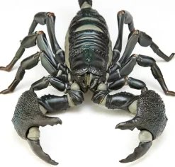 Revoltech Geo Pandinus Imperator (Emperor Scorpion)