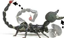 Revoltech Geo Pandinus Imperator (Emperor Scorpion)