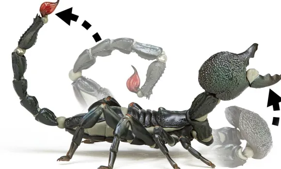 Revoltech Geo Pandinus Imperator (Emperor Scorpion)