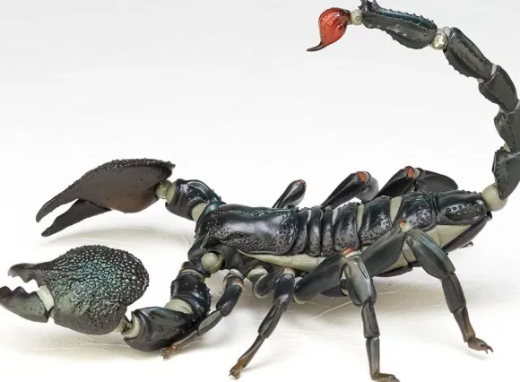 Revoltech Geo Pandinus Imperator (Emperor Scorpion)