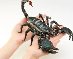 Revoltech Geo Pandinus Imperator (Emperor Scorpion)