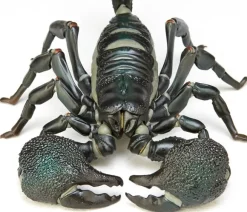Revoltech Geo Pandinus Imperator (Emperor Scorpion)