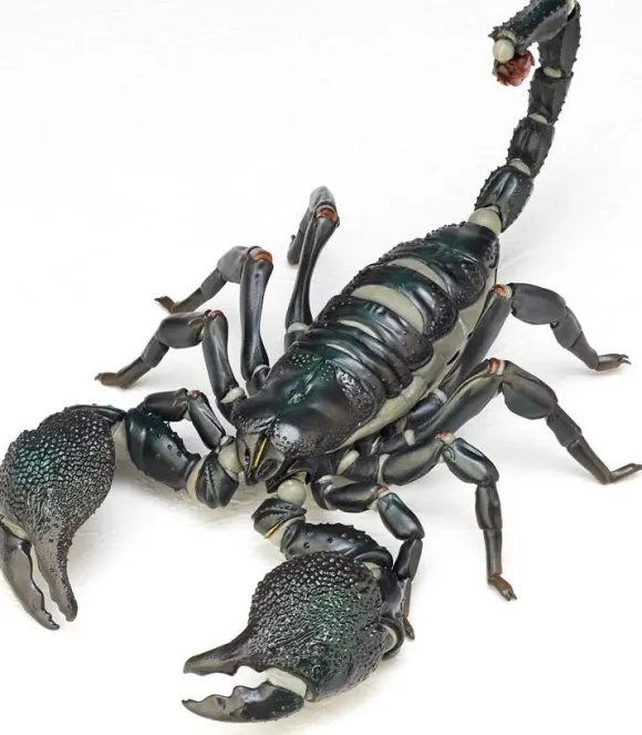 Revoltech Geo Pandinus Imperator (Emperor Scorpion)