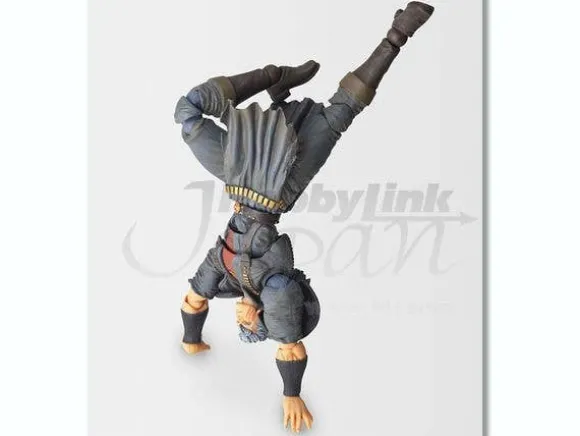 Revoltech Hokuto no Ken Revolution Shew
