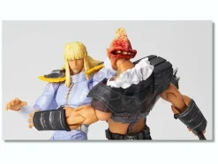 Revoltech Hokuto no Ken Revolution Shin