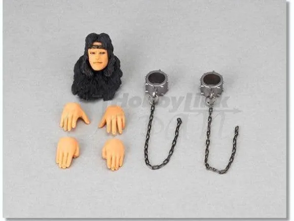 Revoltech Hokuto no Ken Revolution Toki