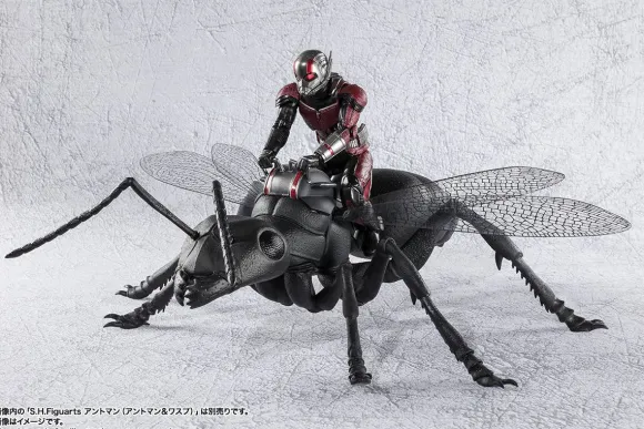 S.H.Figuarts Ant (Ant-Man and the Wasp)