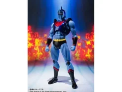 S.H.Figuarts Robin Mask