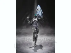 S.H.Figuarts Silver Crow