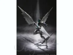 S.H.Figuarts Silver Crow
