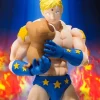 S.H.Figuarts Terryman